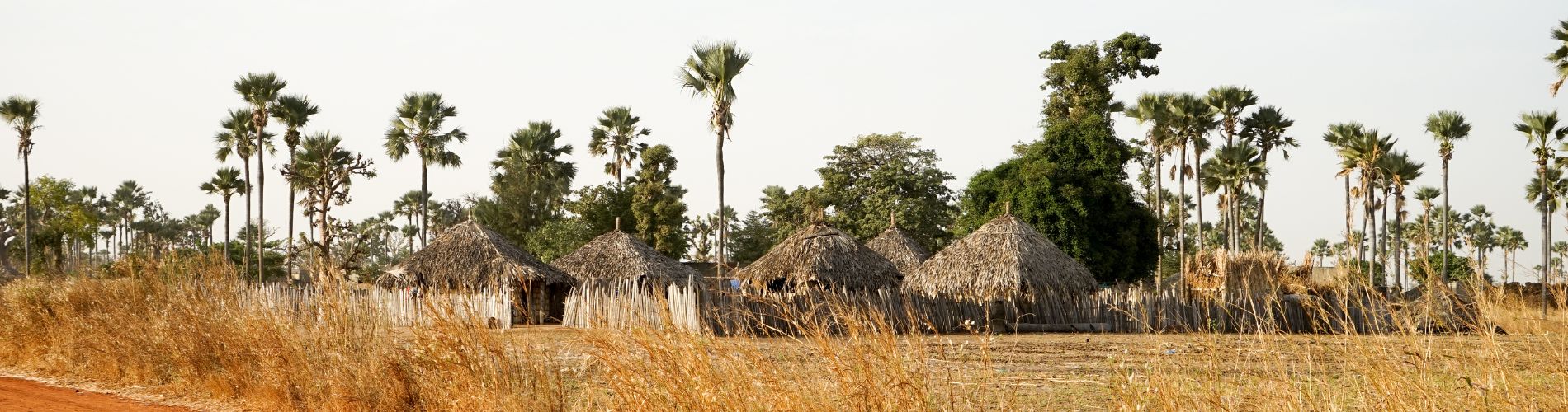 My-French-Degree-Sénégal